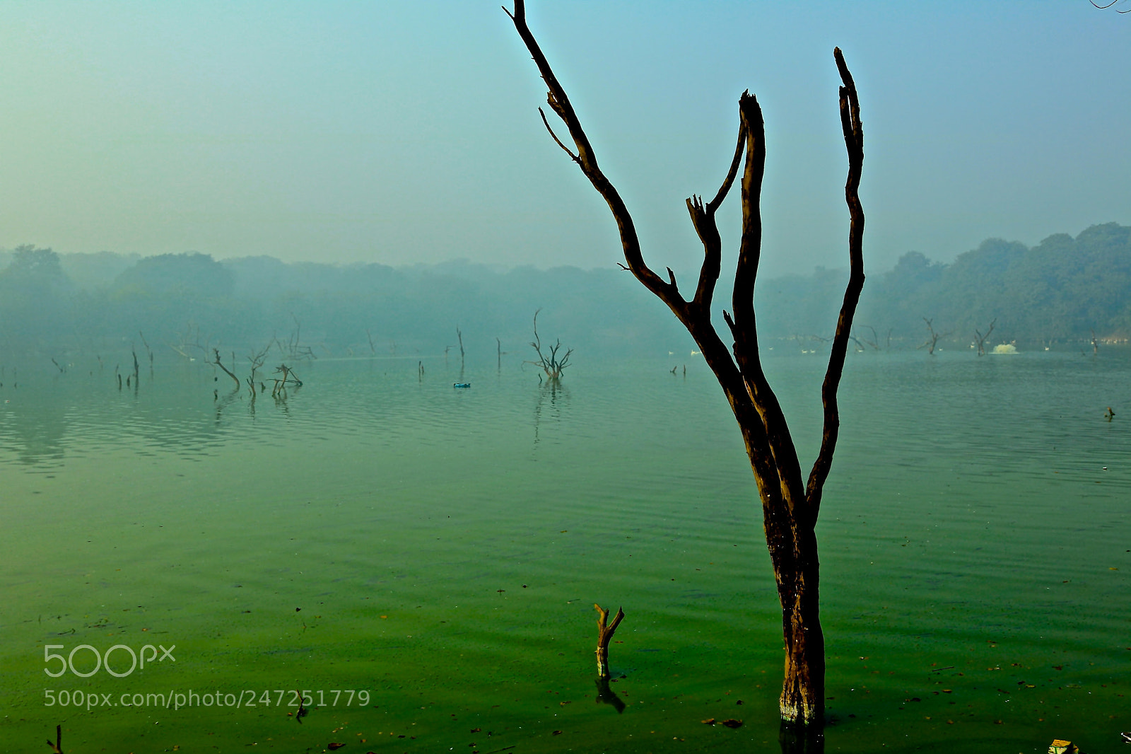 Canon EOS 750D (EOS Rebel T6i / EOS Kiss X8i) sample photo. Hauz khas reservoir photography