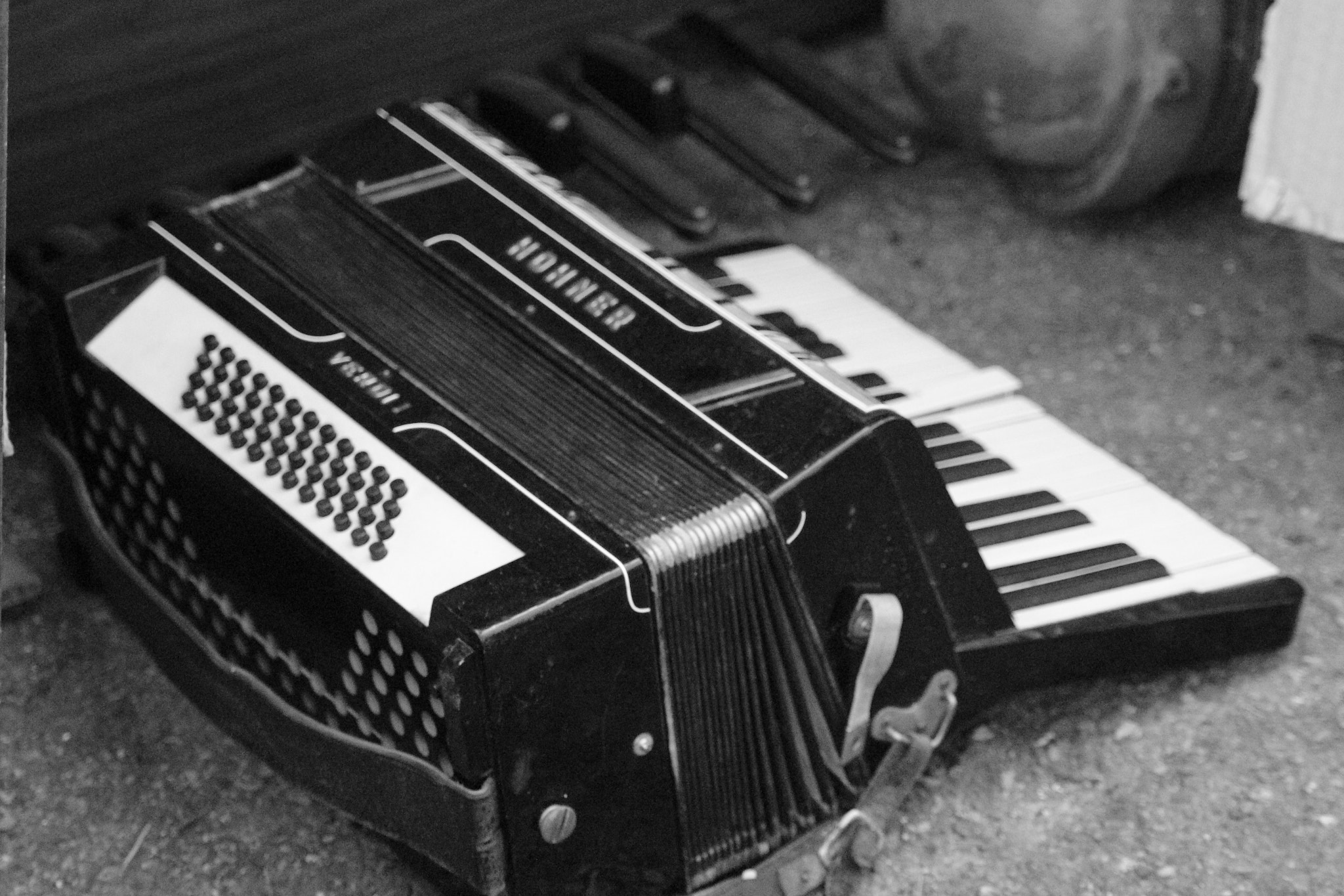 Canon EOS 700D (EOS Rebel T5i / EOS Kiss X7i) sample photo. Accordion photography