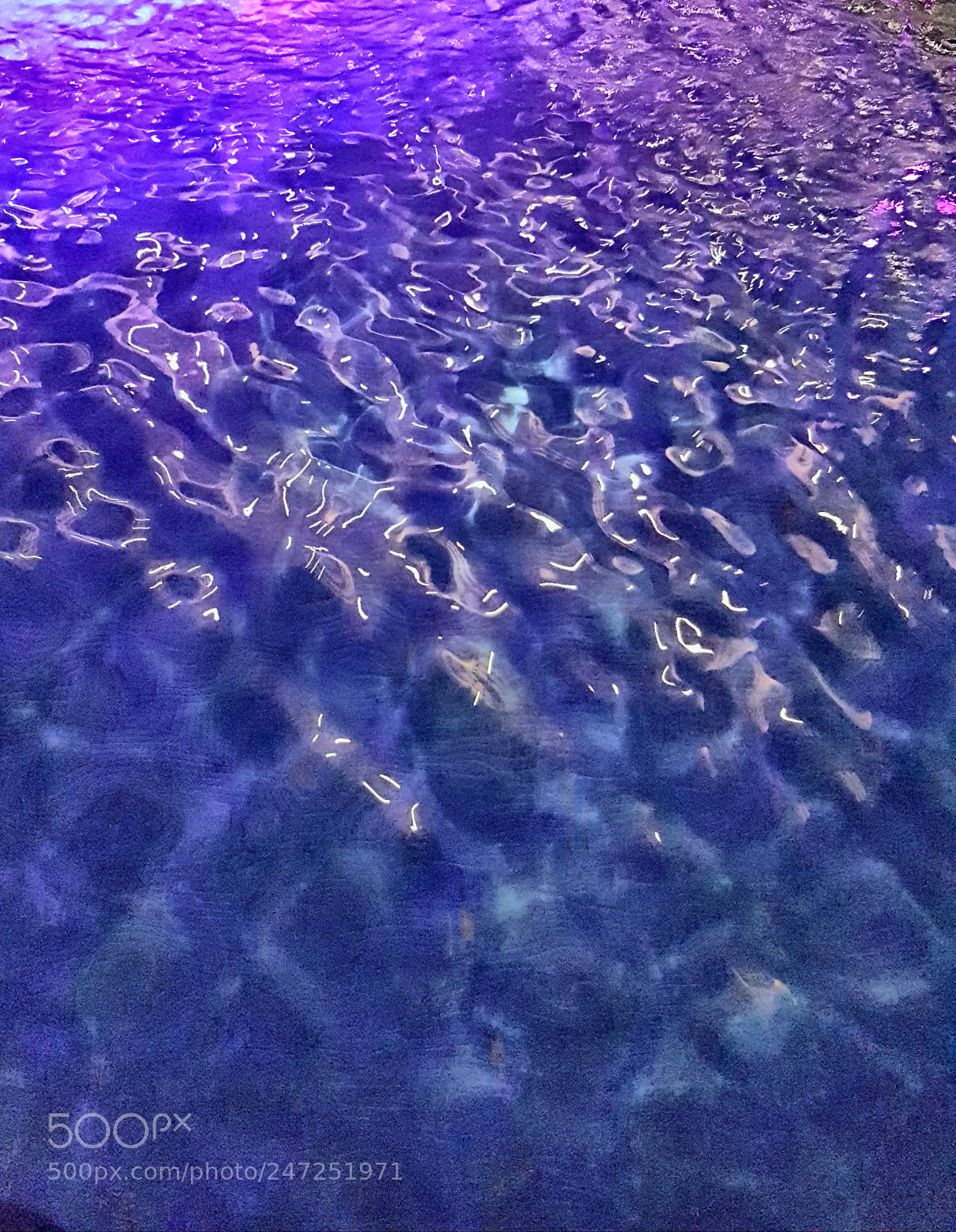 Samsung Galaxy S7 sample photo. Waves of wings photography