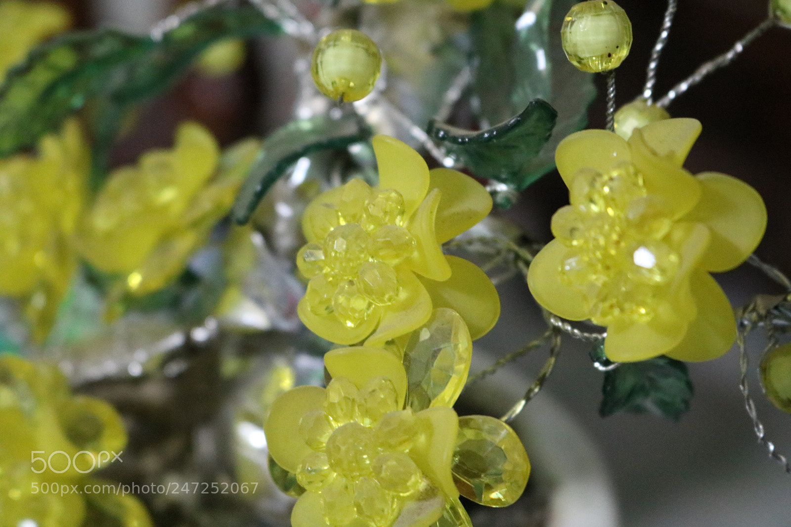 Canon EOS 750D (EOS Rebel T6i / EOS Kiss X8i) sample photo. [] photography