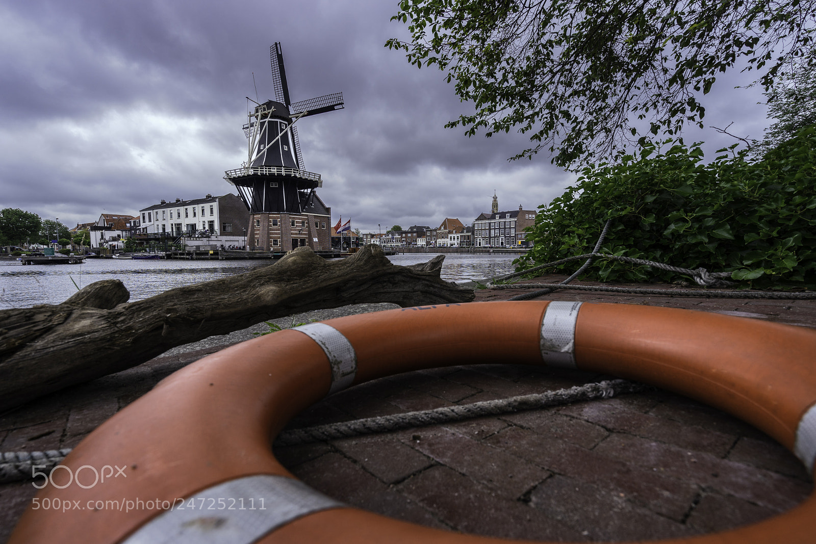Sony a7 II sample photo. De adriaan photography