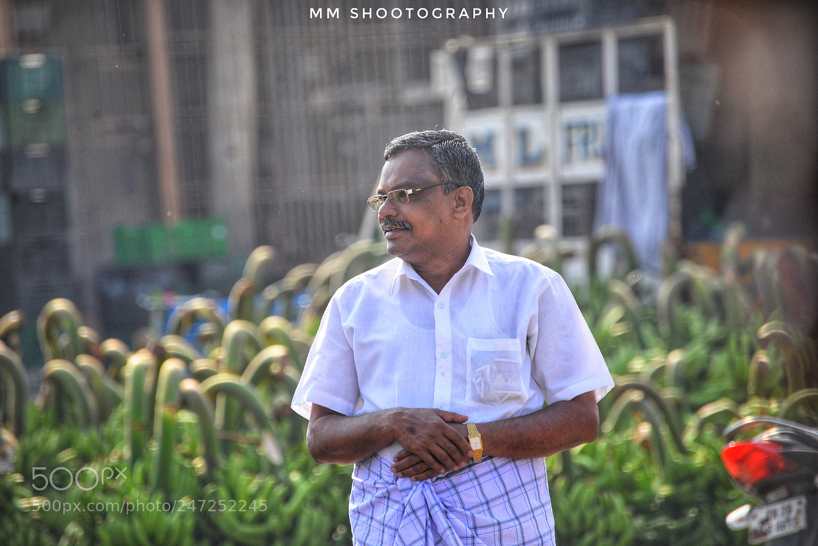 Nikon D610 sample photo. The owner photography