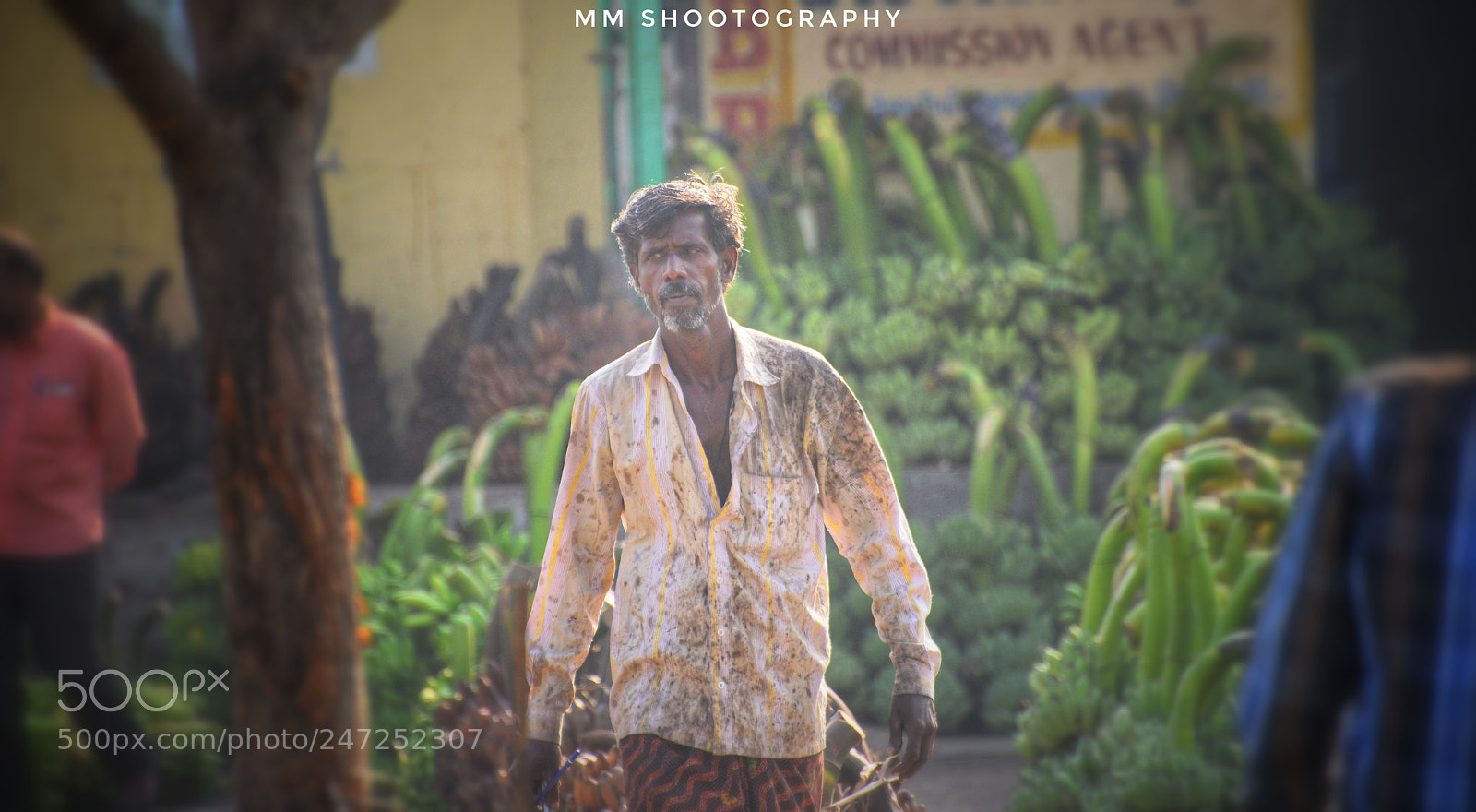 Nikon D610 sample photo. No stains no gains photography