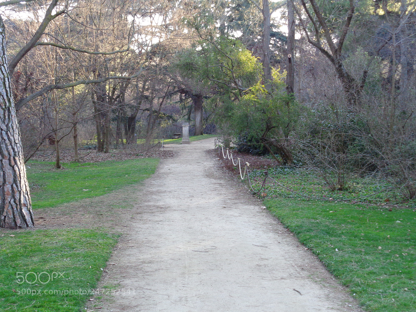 Sony Cyber-shot DSC-W830 sample photo. Parque del capricho photography