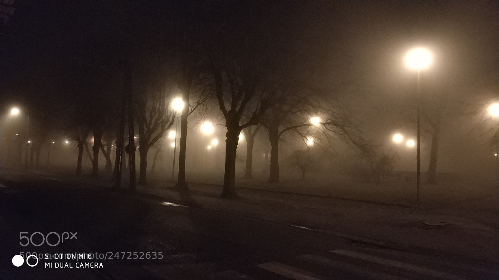 Xiaomi MI6 sample photo. Fog photography