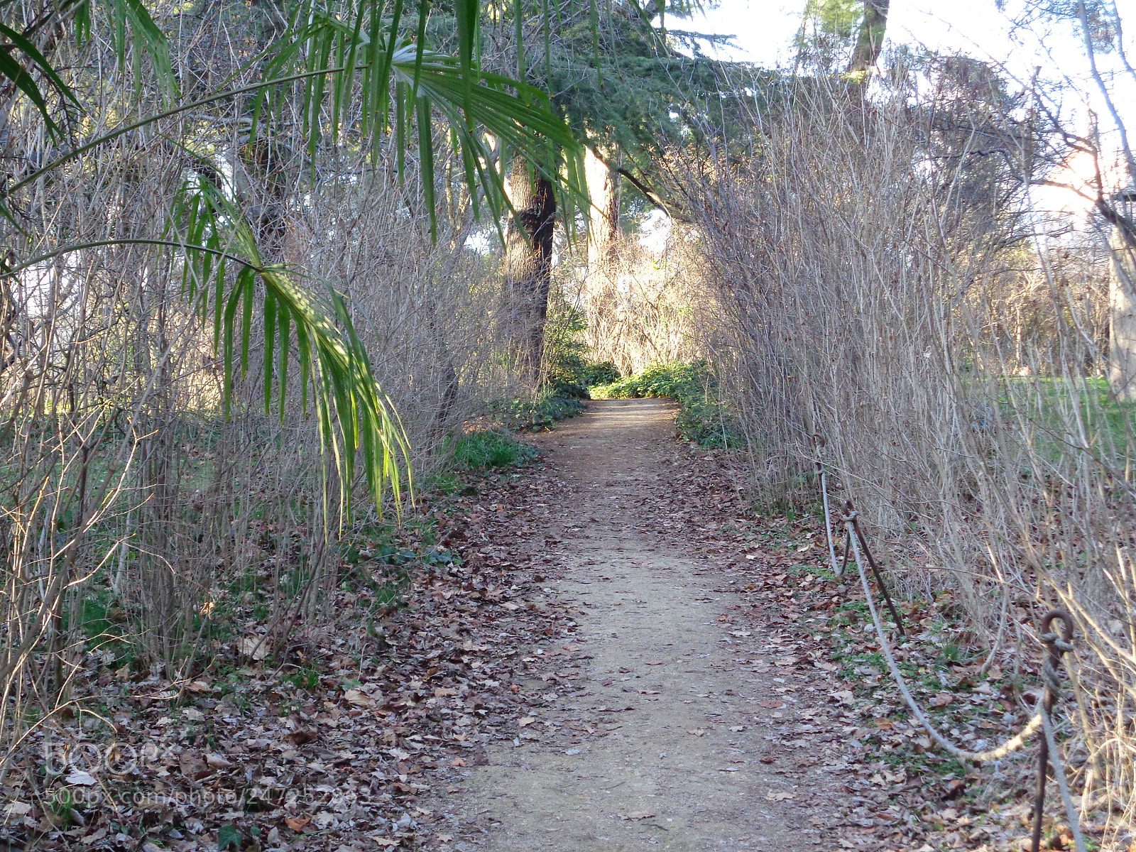 Sony Cyber-shot DSC-W830 sample photo. Parque del capricho photography