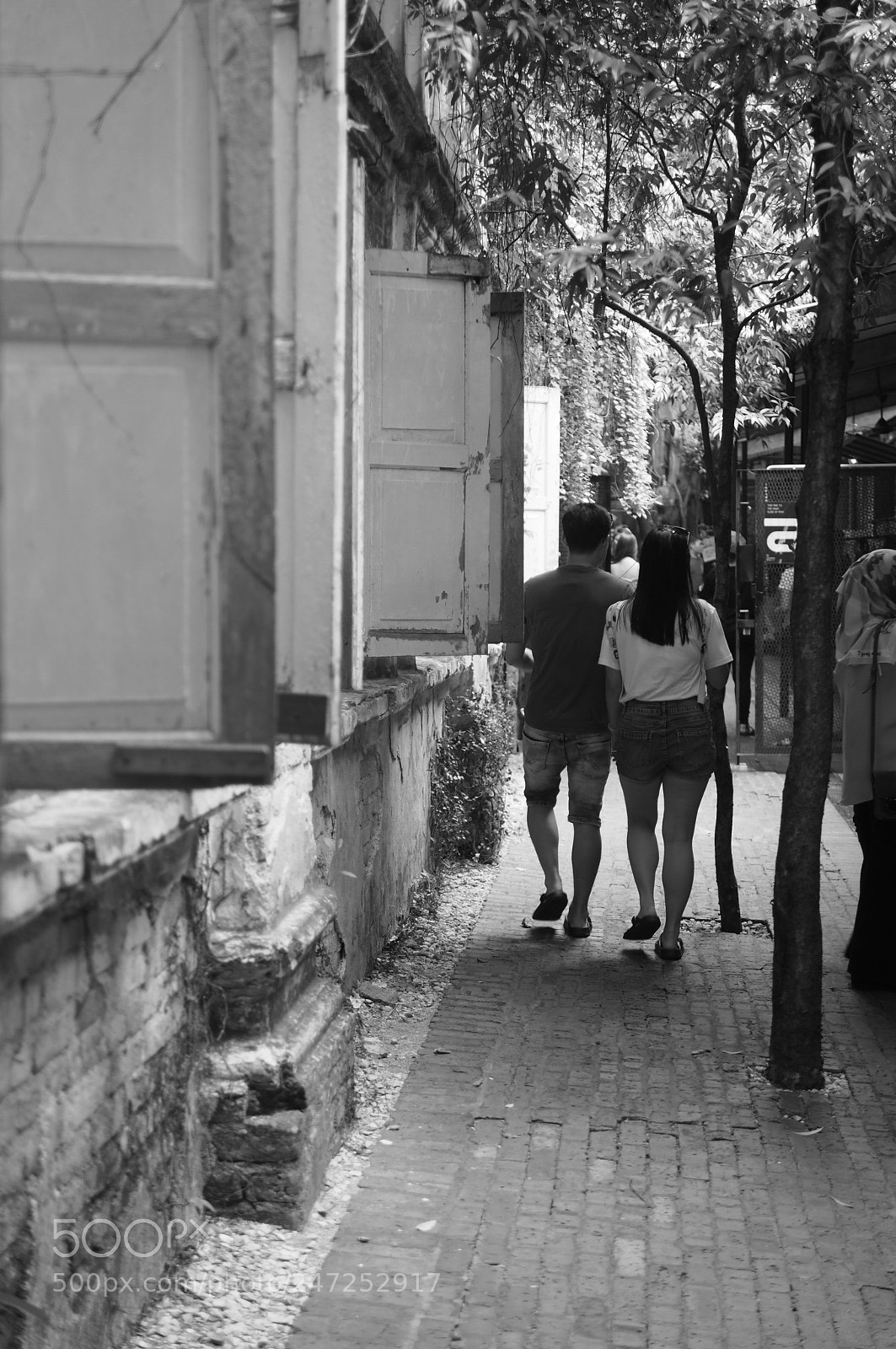 Olympus PEN-F sample photo. Untitled photography