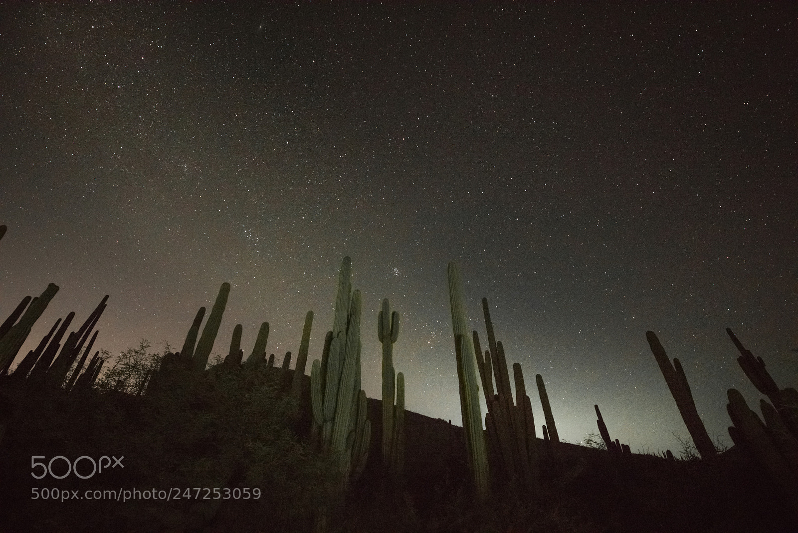 Nikon D810 sample photo. Between the sky and photography