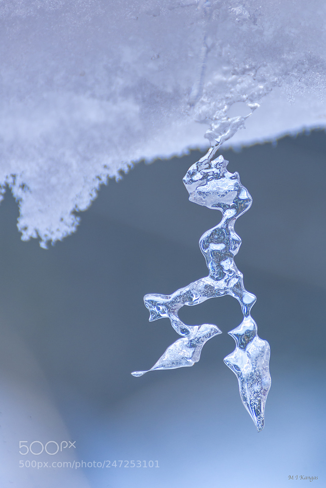 Nikon D610 sample photo. Iceman photography