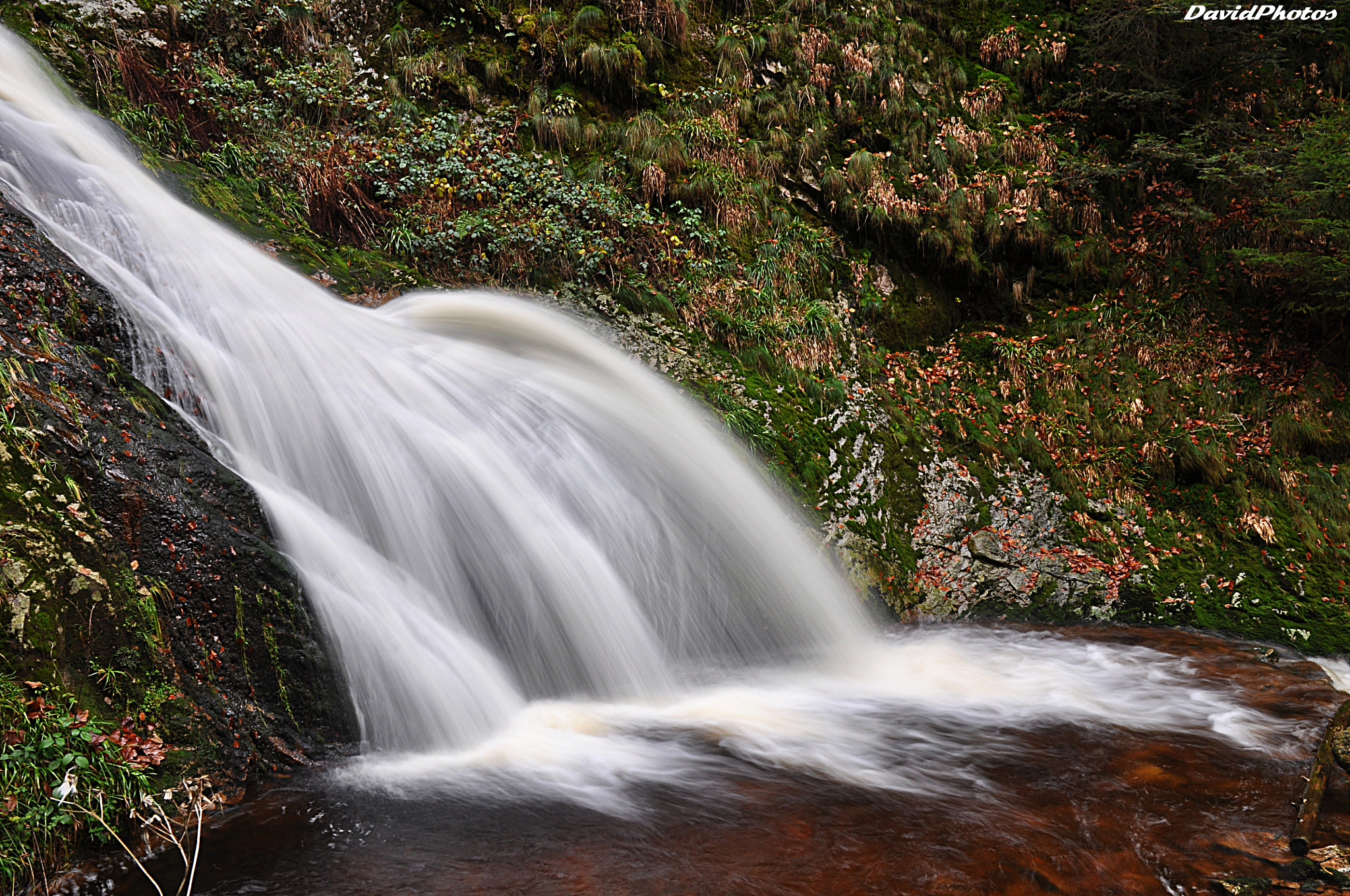 Nikon D5000 sample photo. Schwarzwald photography