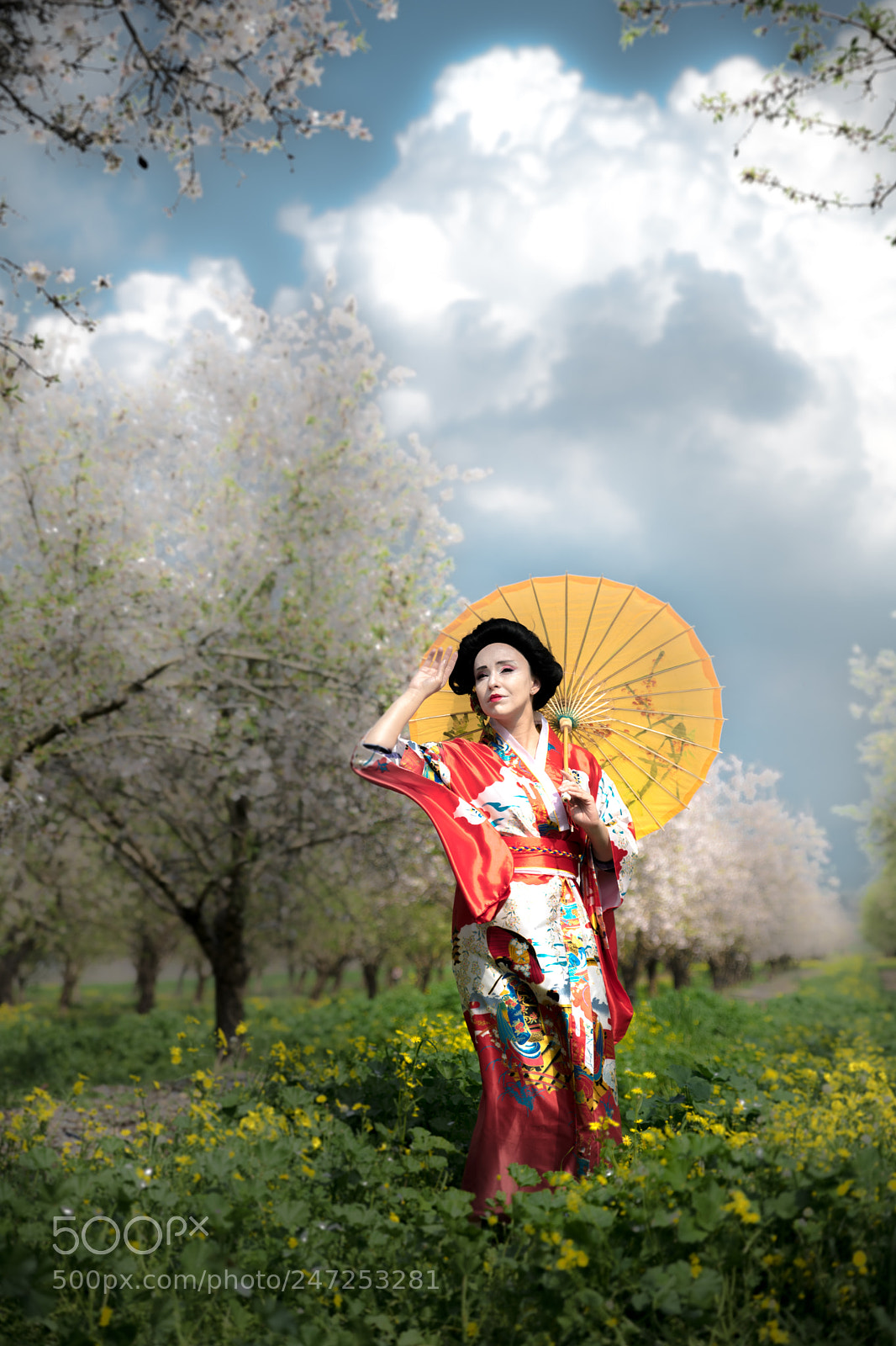 Nikon D850 sample photo. _8502645-2.jpg photography