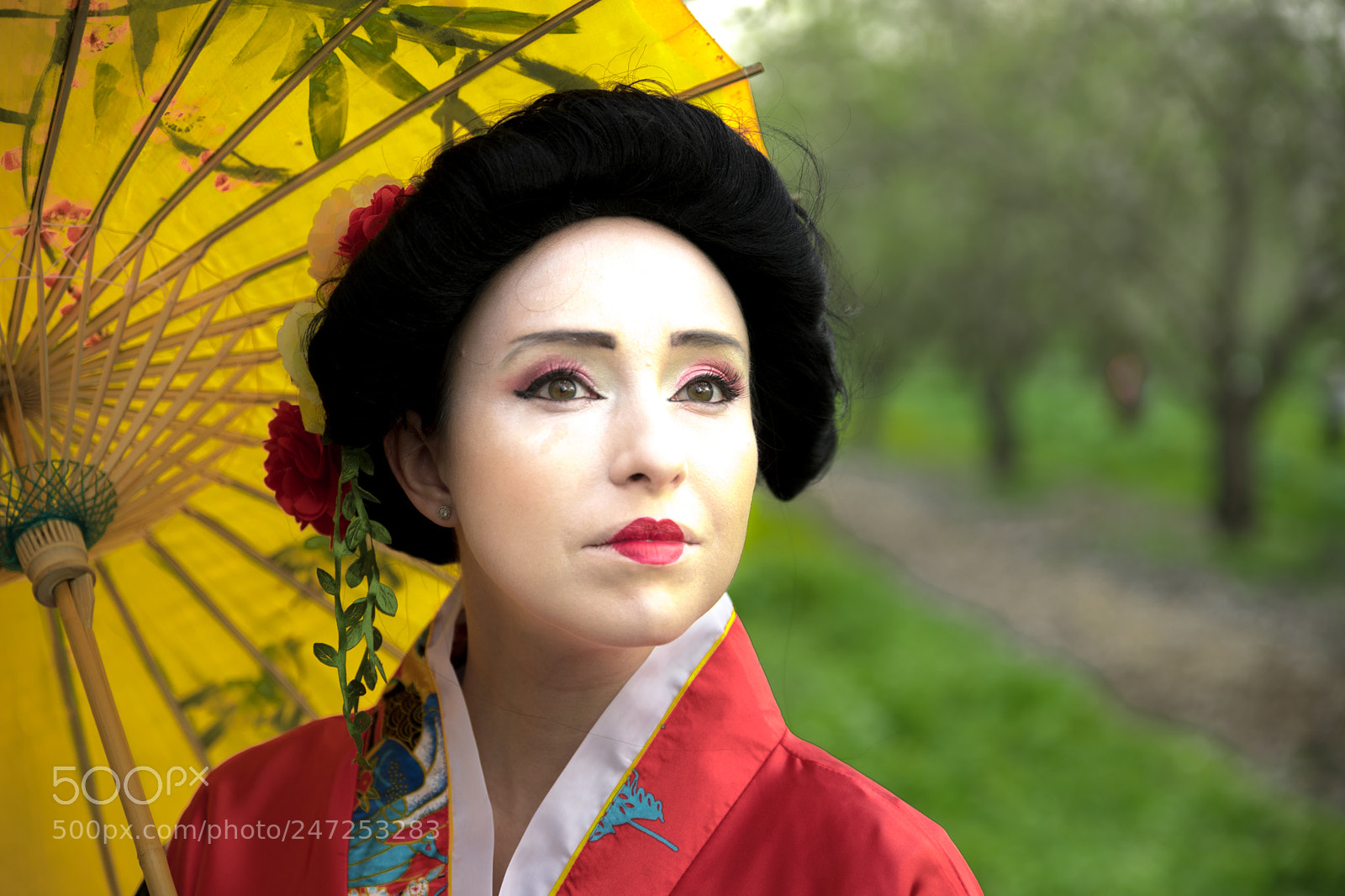 Nikon D850 sample photo. _8502605.jpg photography
