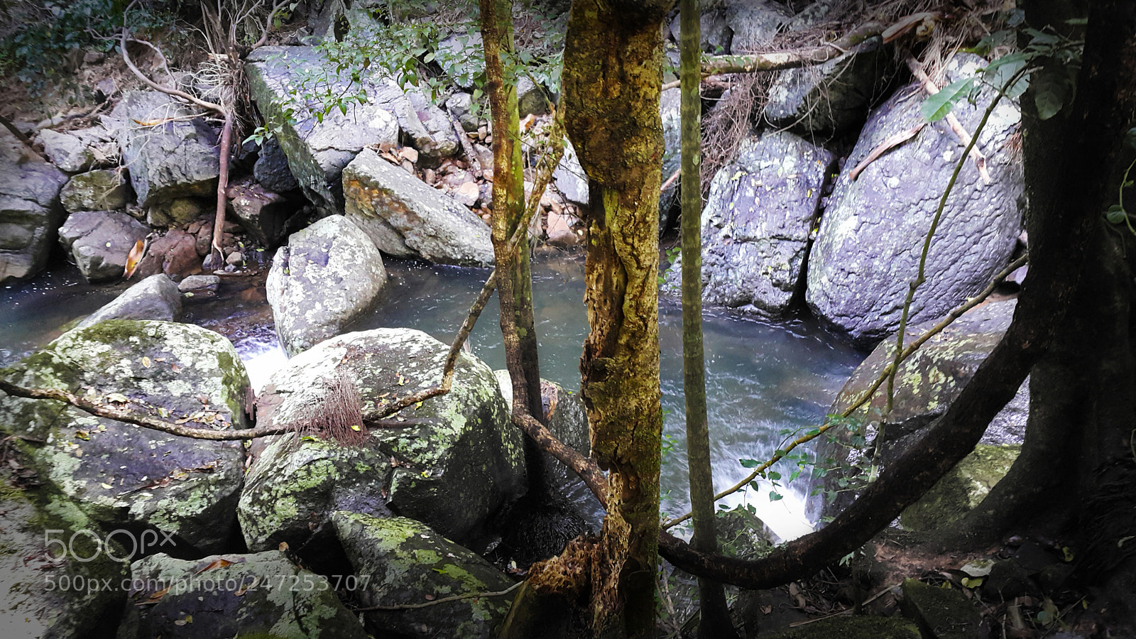 Samsung Galaxy Note4 sample photo. River photography