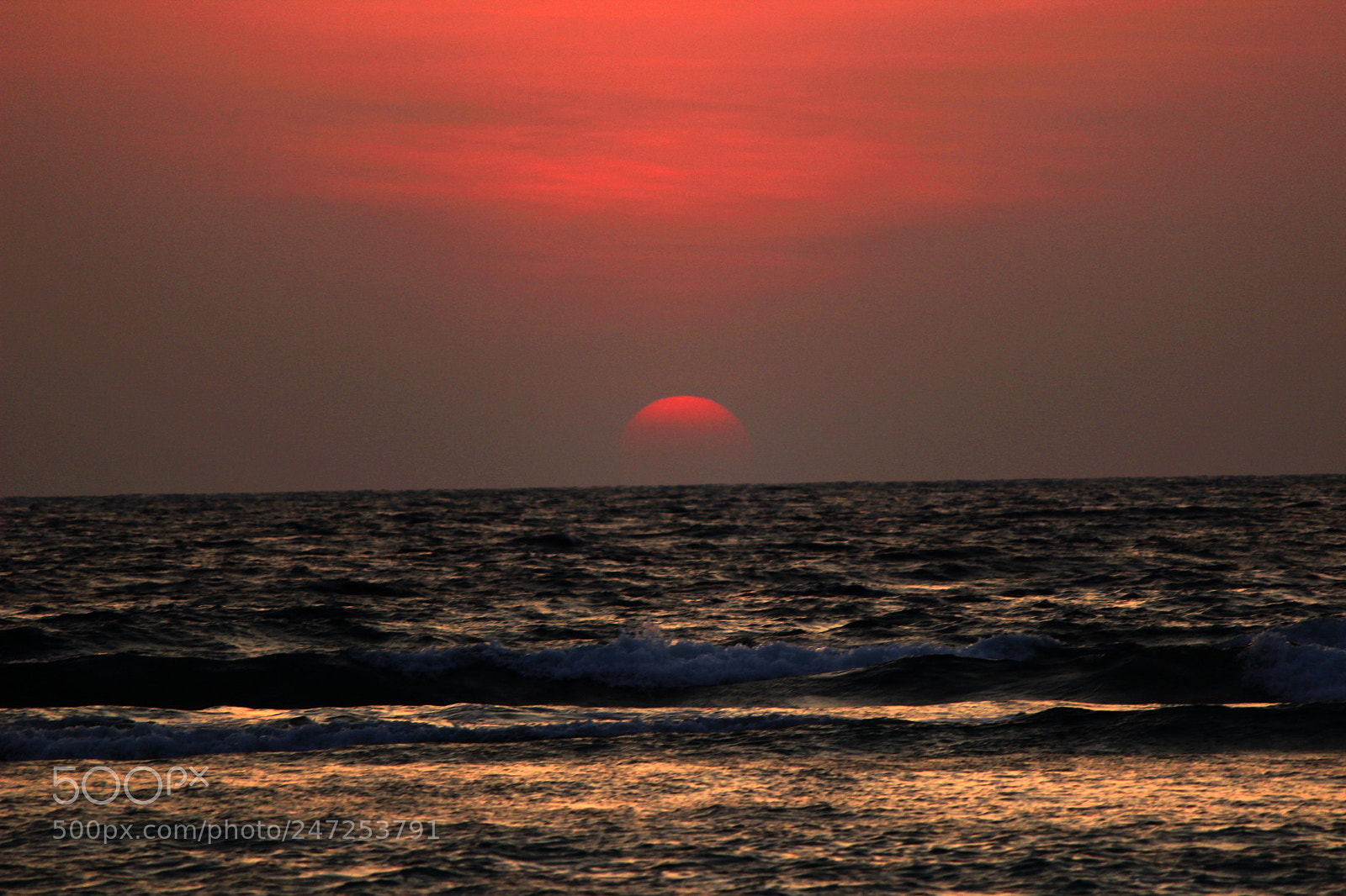 Canon EF-S 55-250mm F4-5.6 IS II sample photo. Mg photography