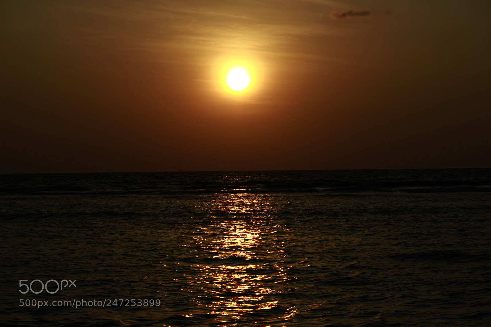 Canon EF-S 55-250mm F4-5.6 IS II sample photo. Mg photography