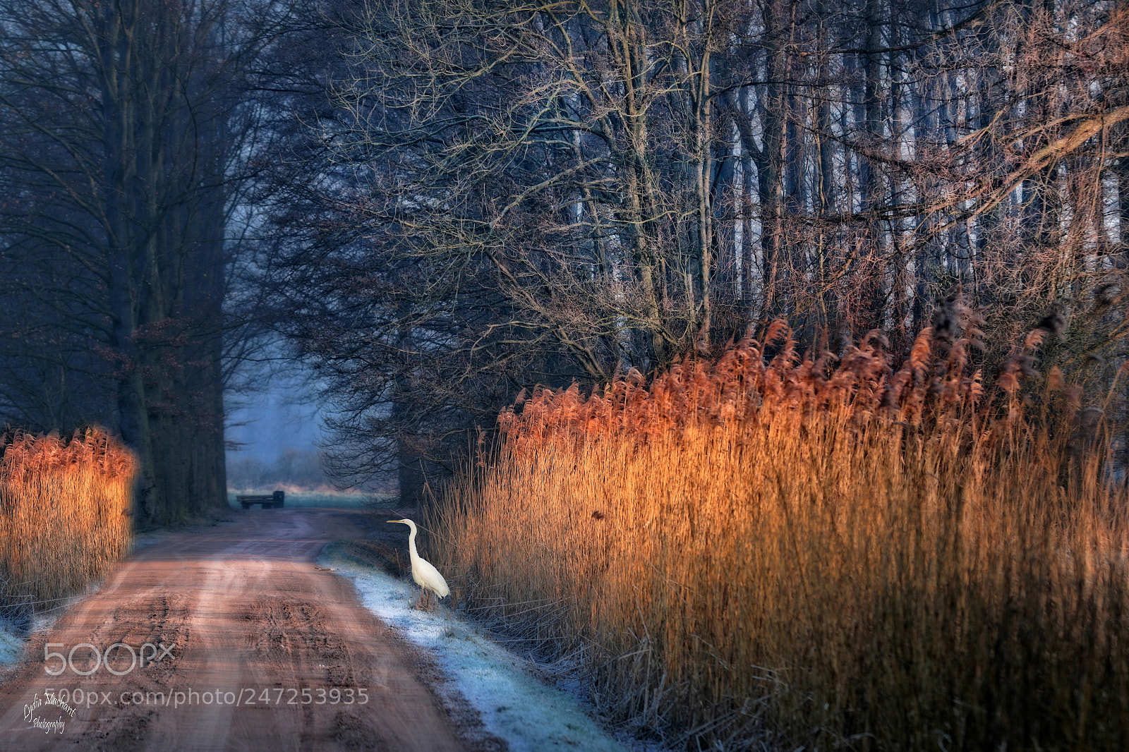Canon EOS 7D Mark II sample photo. When the sun rises photography