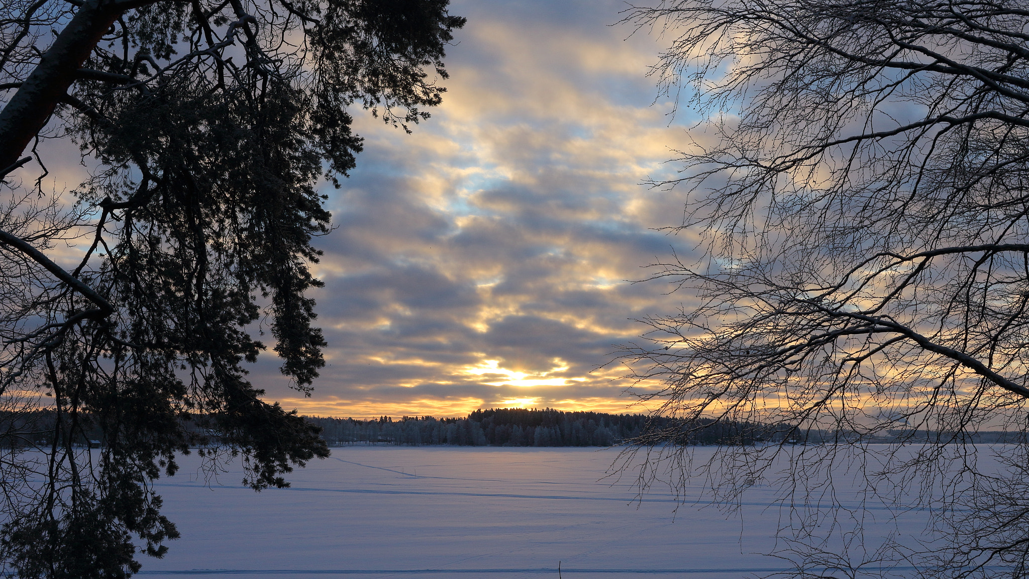 Canon EF-S 24mm F2.8 STM sample photo. -20c morning photography