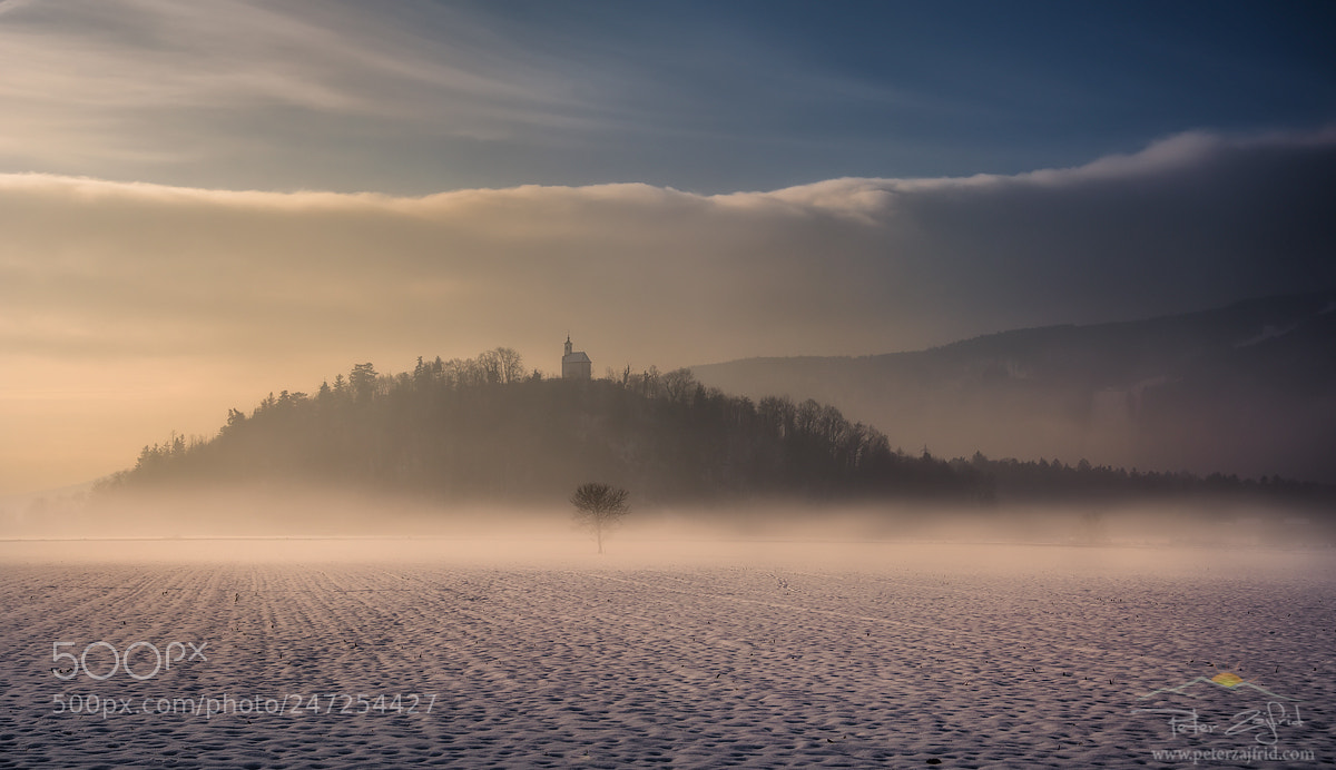 Nikon D810 sample photo. Foggy winter photography