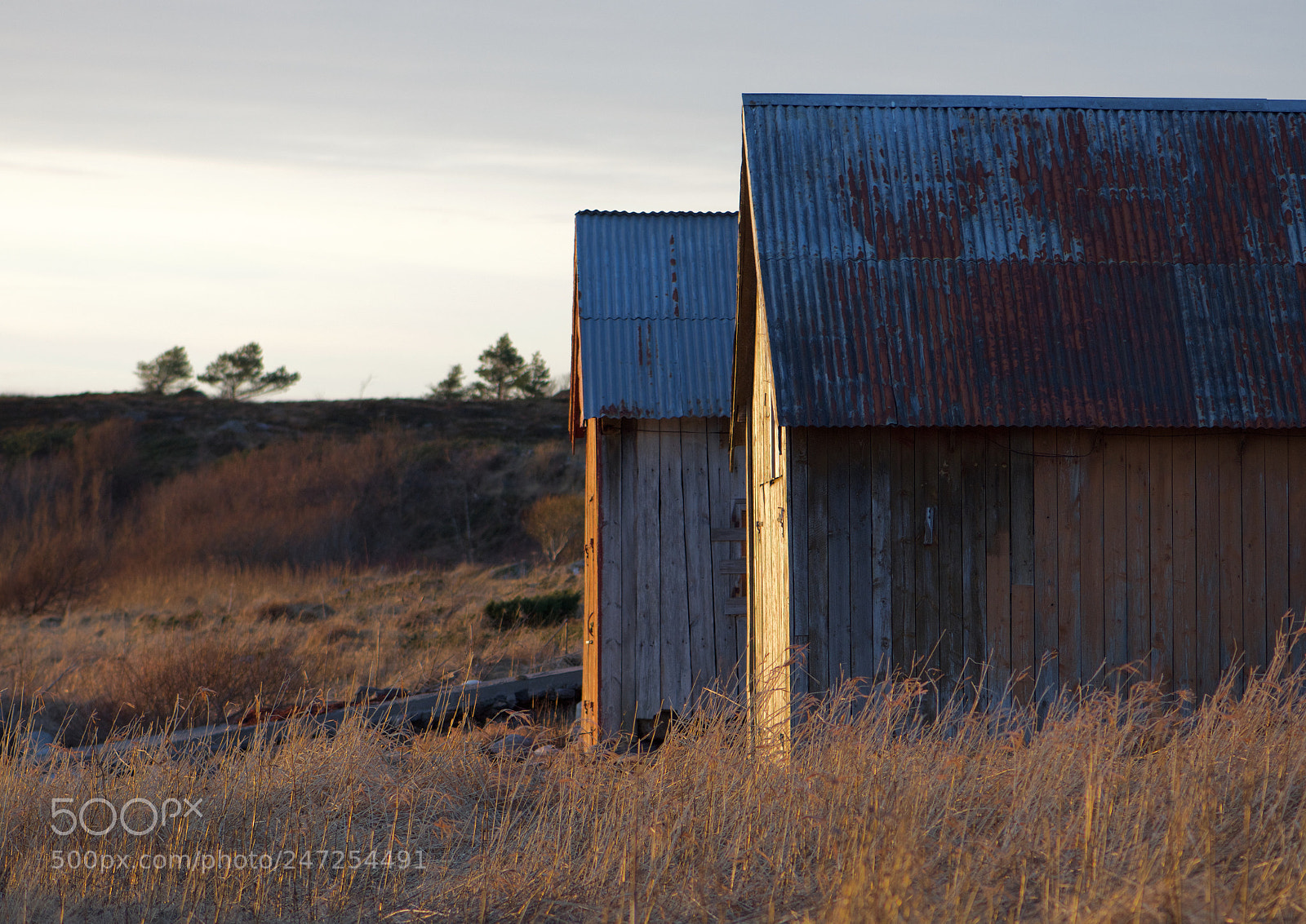 Nikon D7200 sample photo. (twosomeness) photography