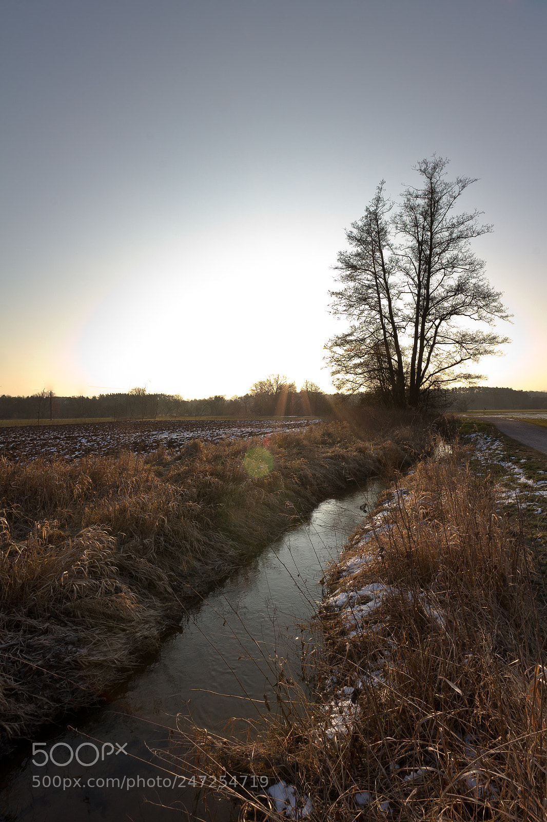 Canon EOS 60D sample photo. A morning somewhere in photography
