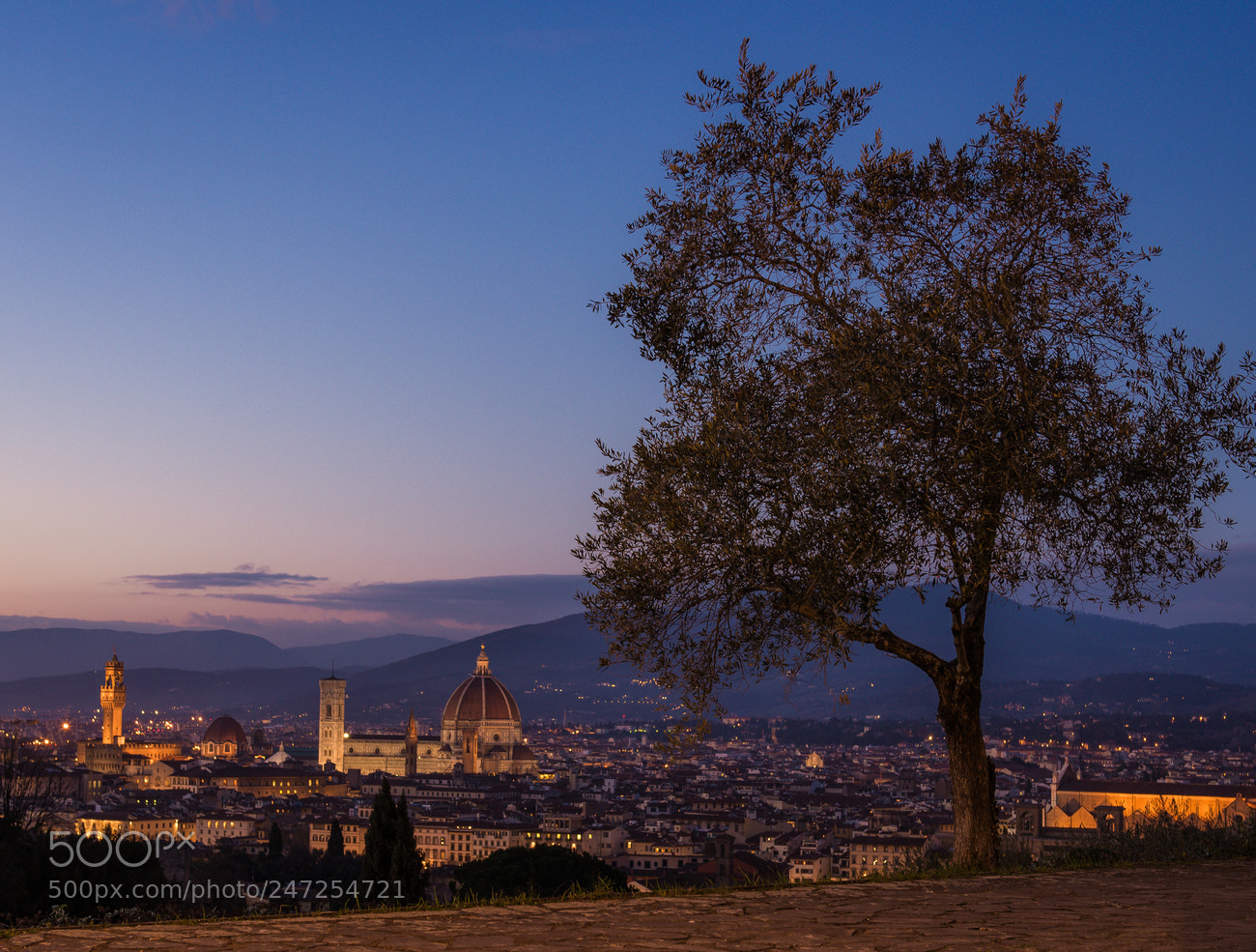 Nikon D610 sample photo. The city that never photography