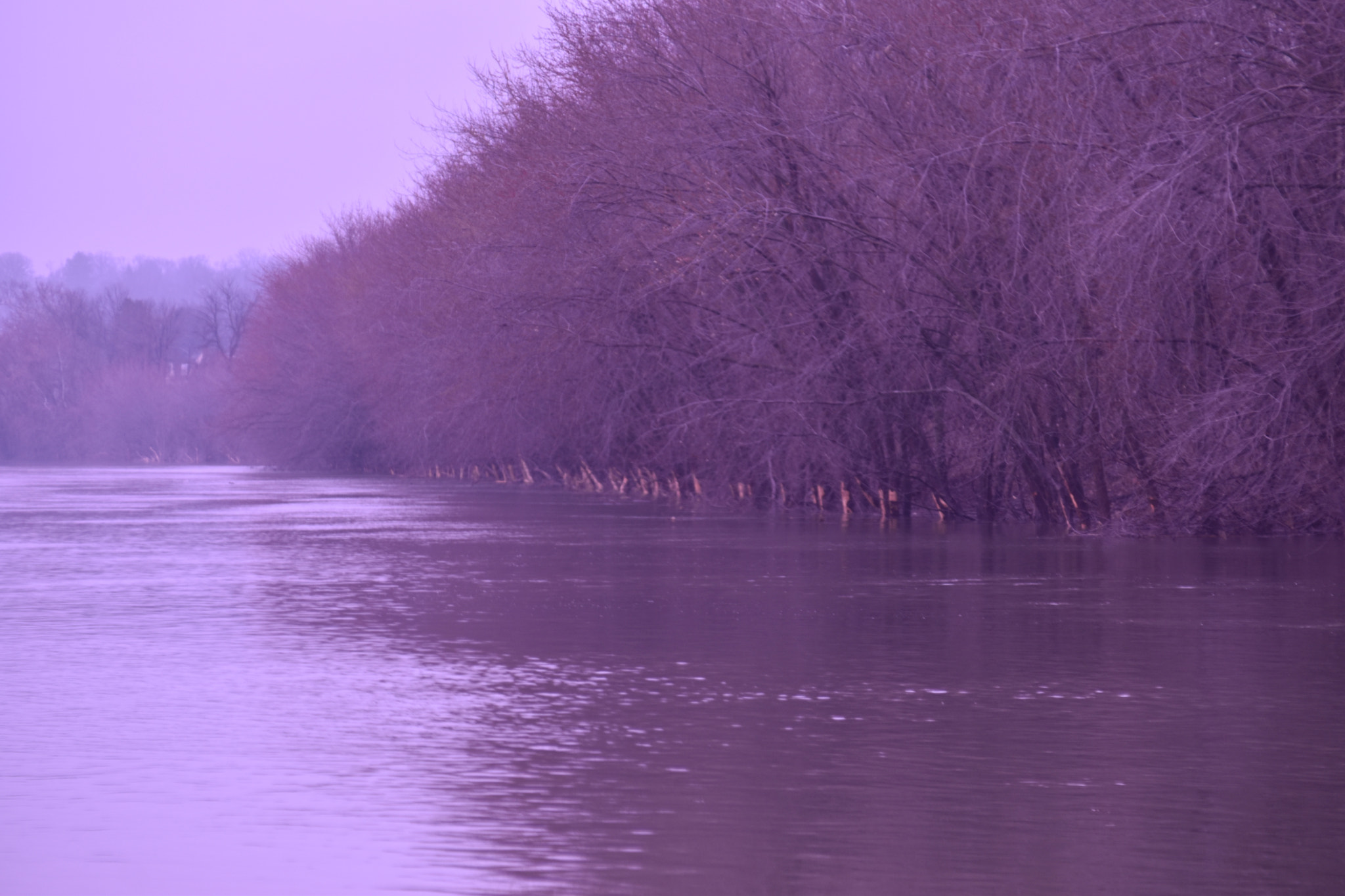 Nikon D5500 sample photo. River view photography