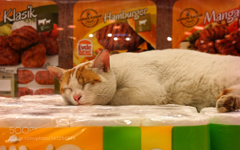Samsung NX300 sample photo. D ler de hayata photography