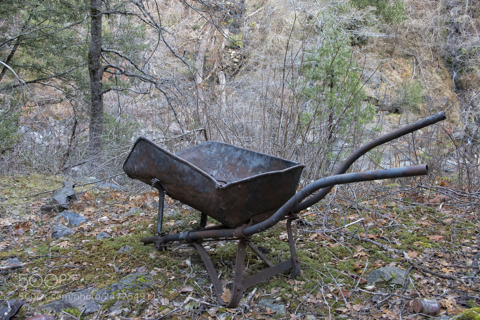 Pentax K-70 sample photo. Wheel barrow photography