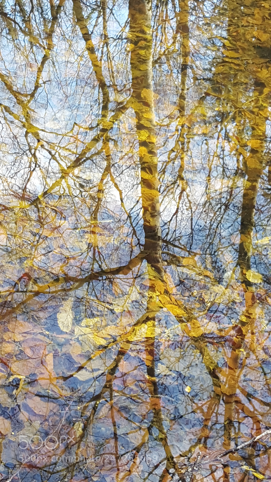 Samsung Galaxy S6 sample photo. Upside down photography