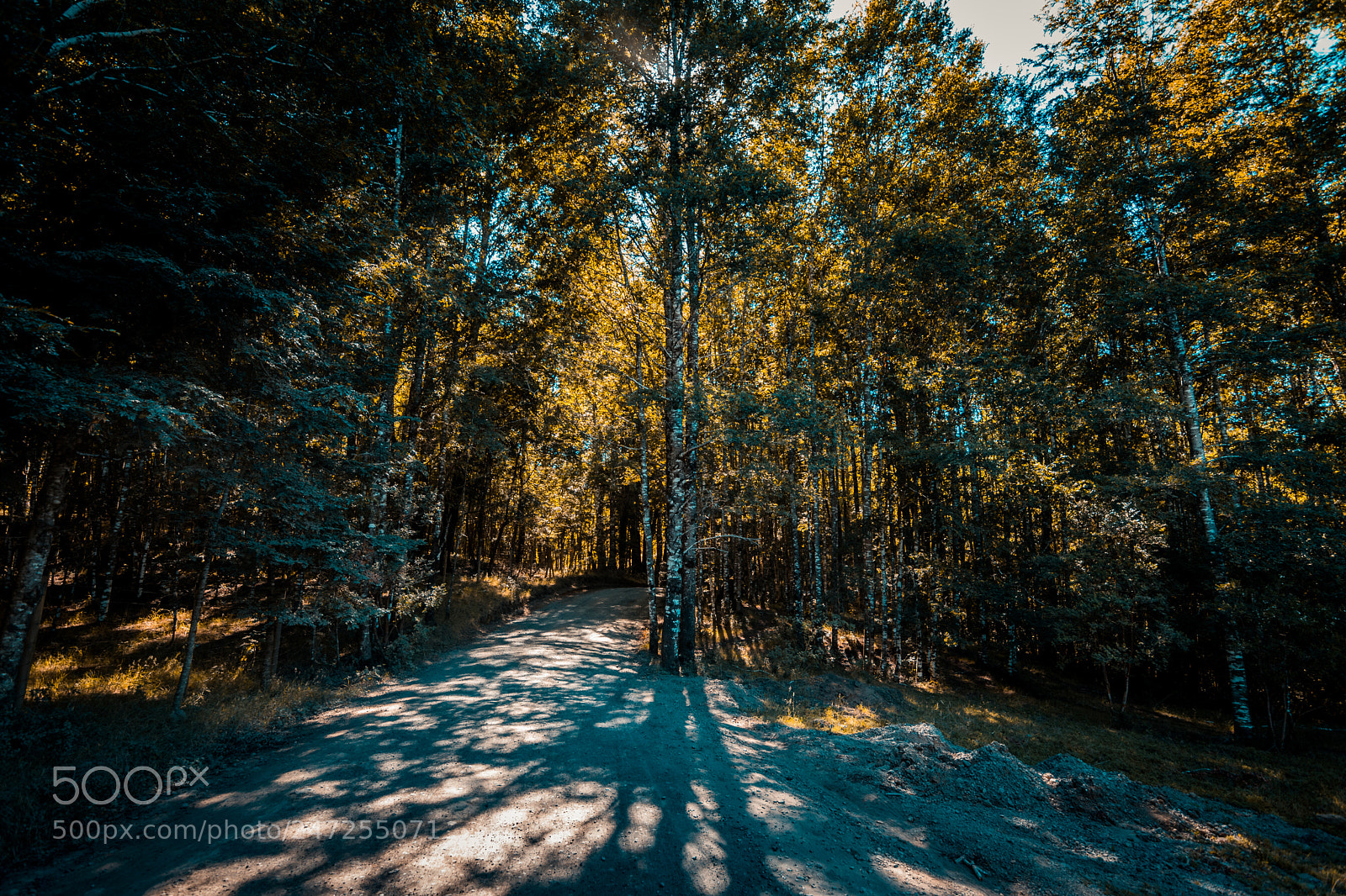 Nikon D3400 sample photo. Acceso a los ojos photography