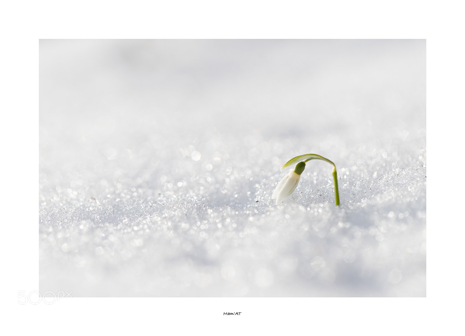 Canon EOS 6D Mark II sample photo. Drop the snow photography