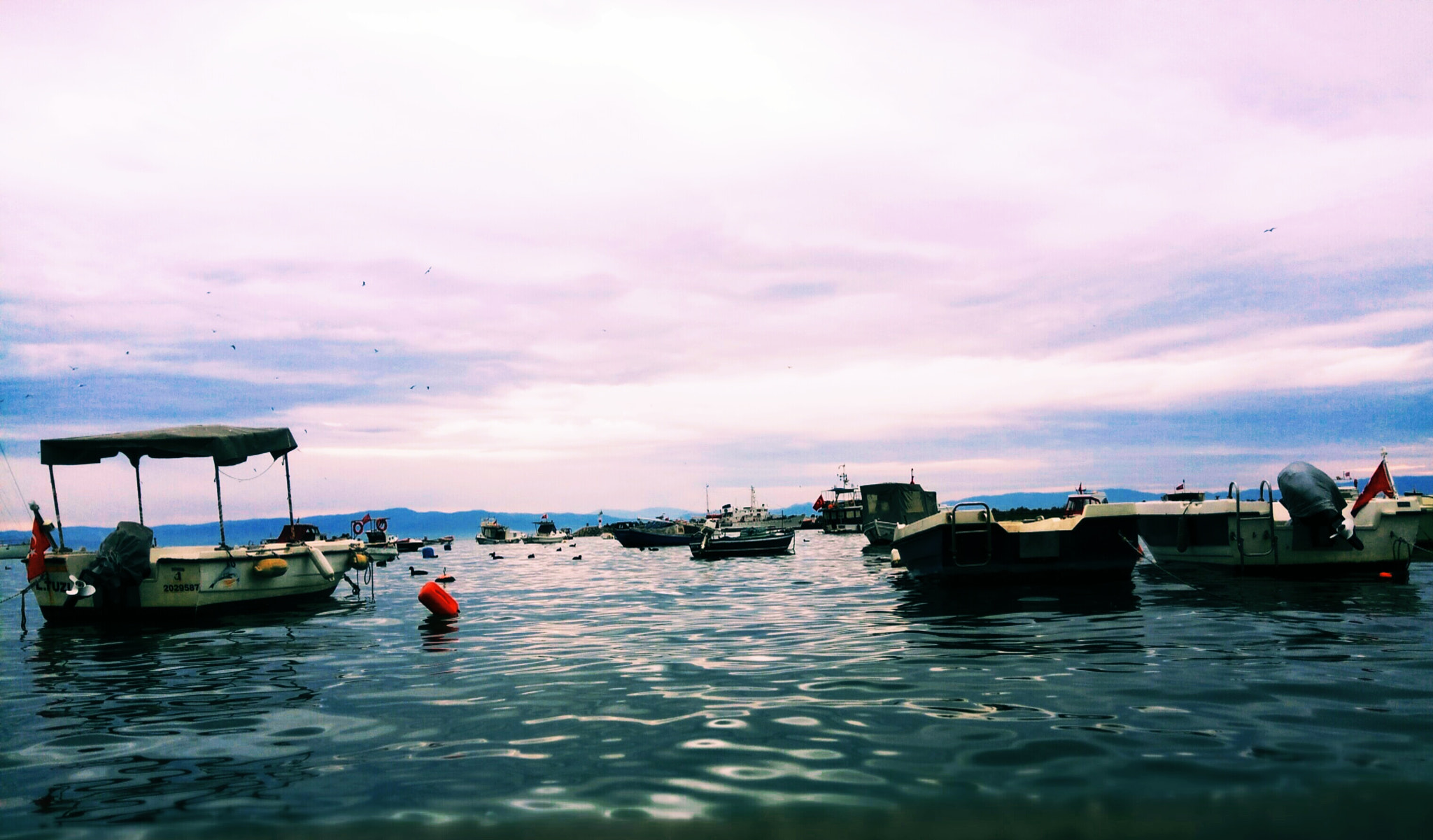 Xiaomi Redmi Pro sample photo