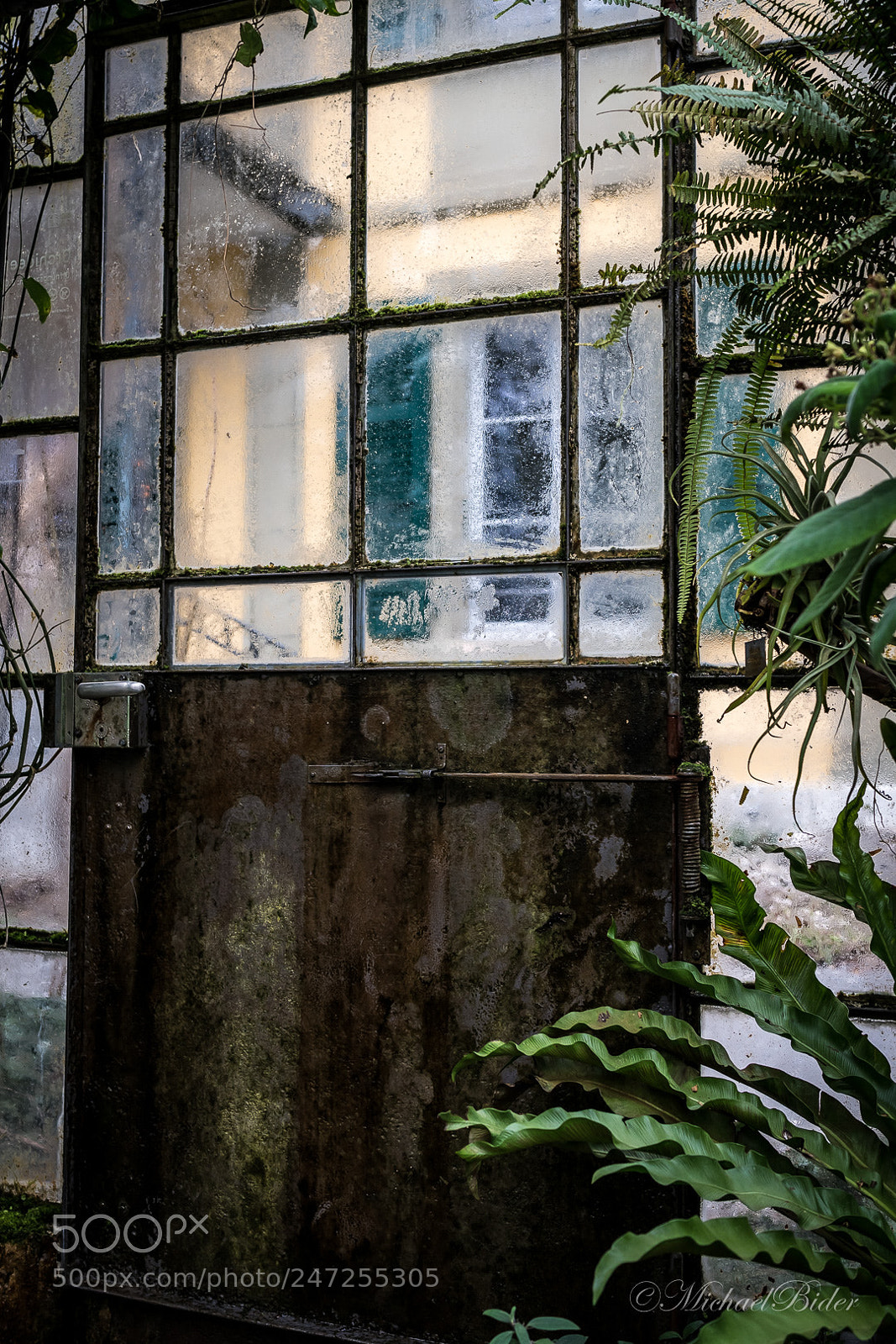 Sony a7R III sample photo. Mystery door photography
