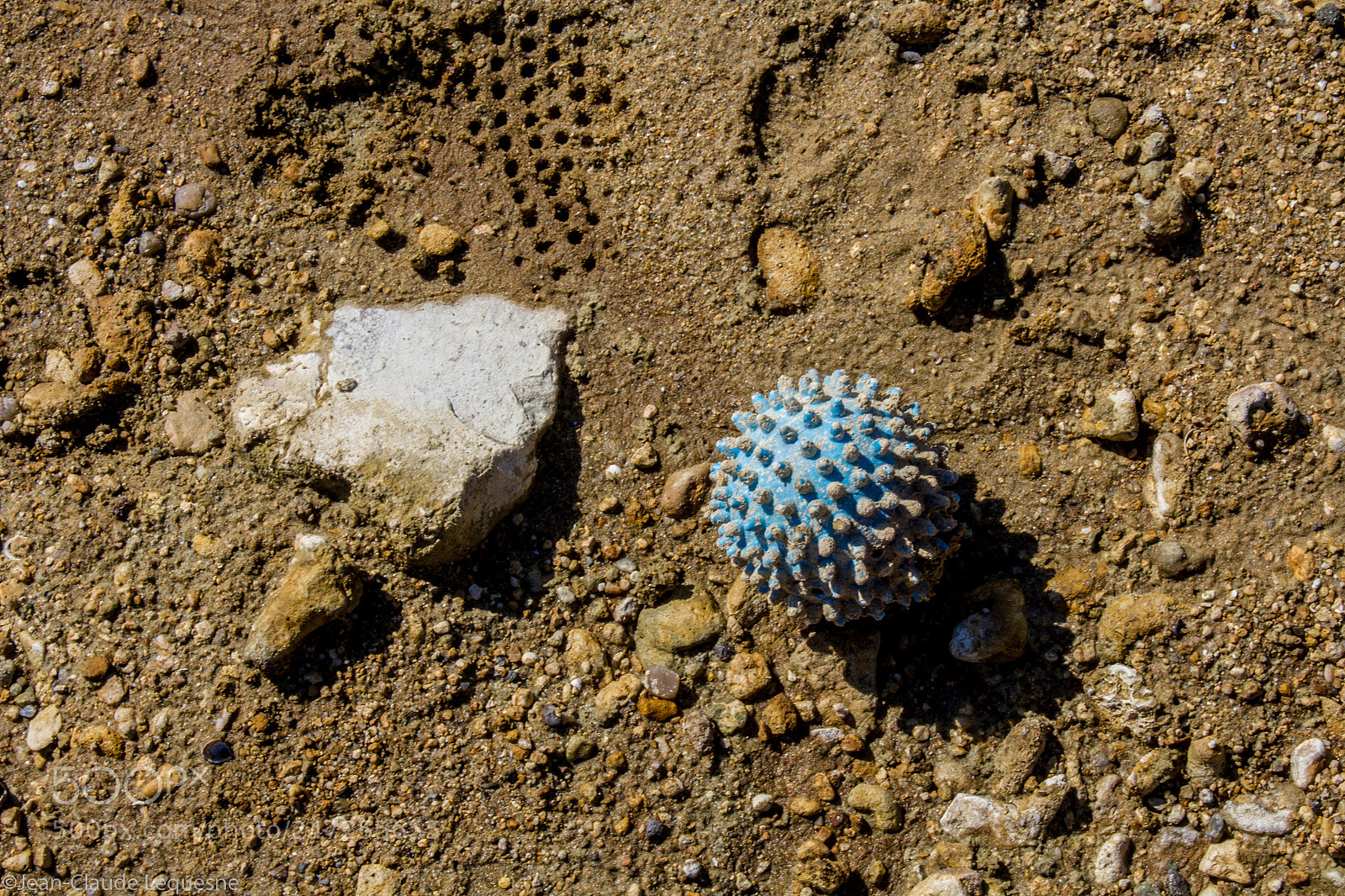 Canon EOS 60D sample photo. Quand l'eau se retire 1 photography