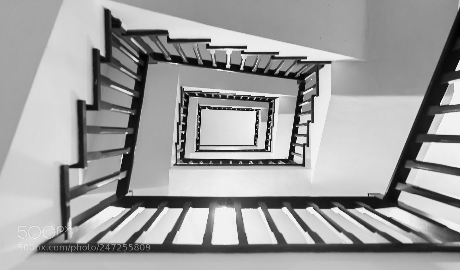 Nikon D610 sample photo. Untitled photography