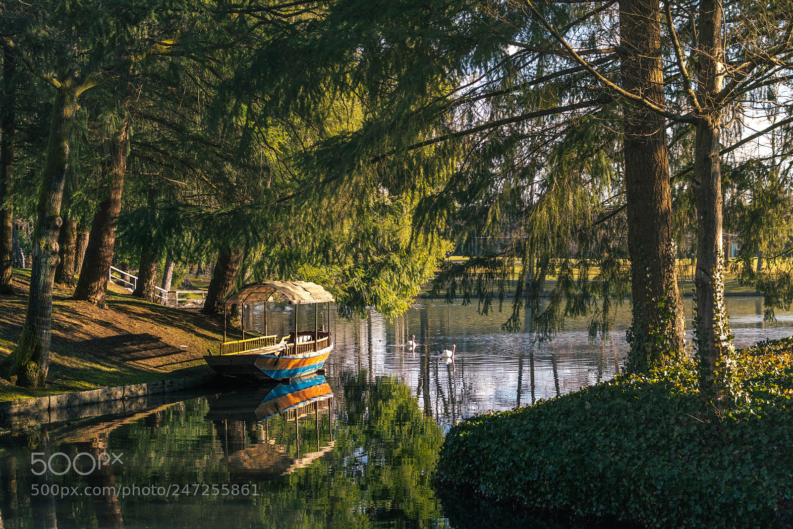 Nikon D7100 sample photo. Touched by morning sun photography