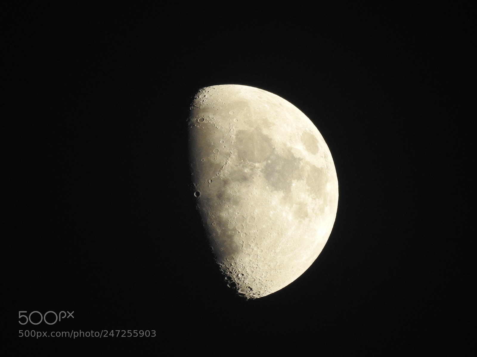 Nikon Coolpix P900 sample photo. Today's moon photography