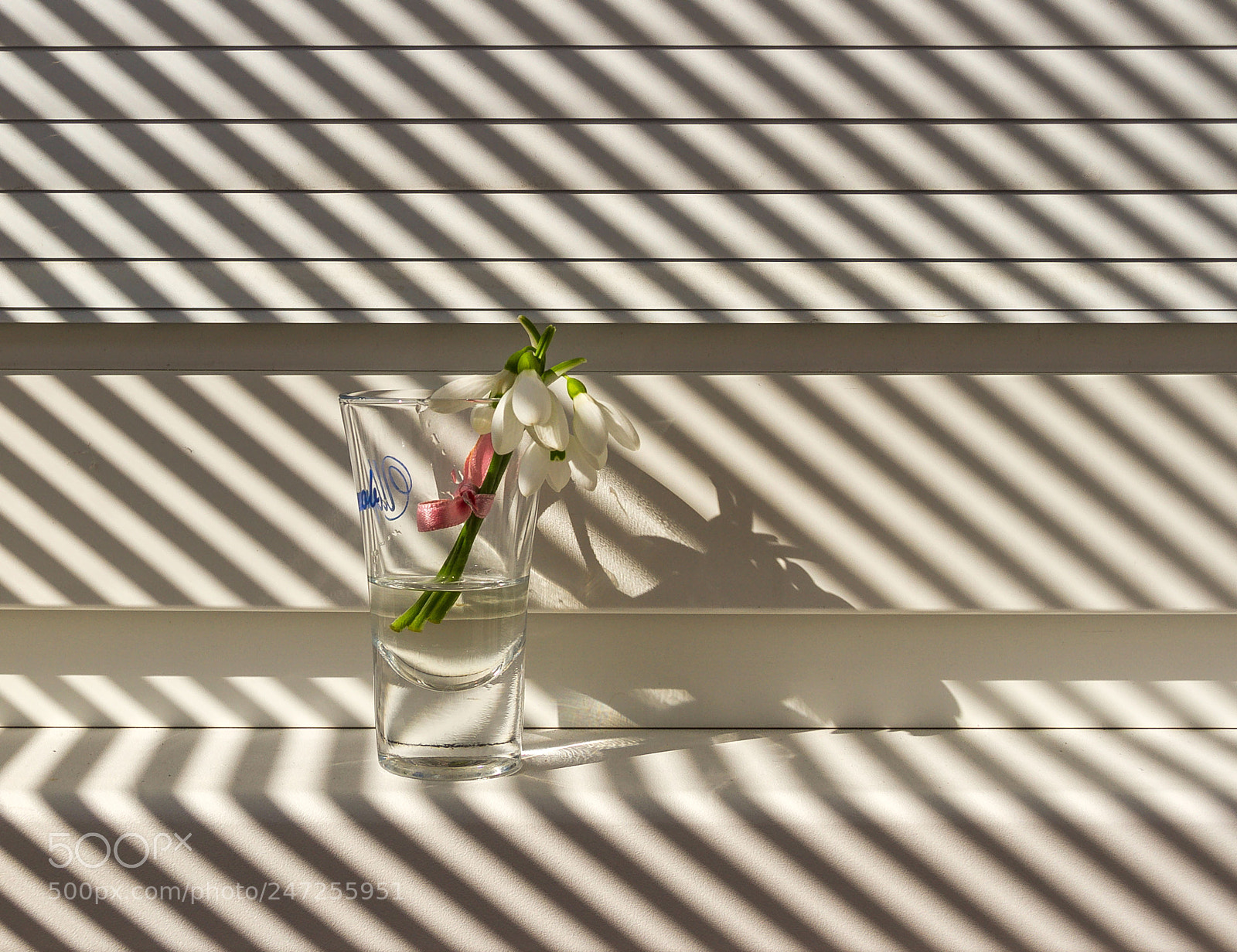 Canon EOS 7D sample photo. Snowdrops photography