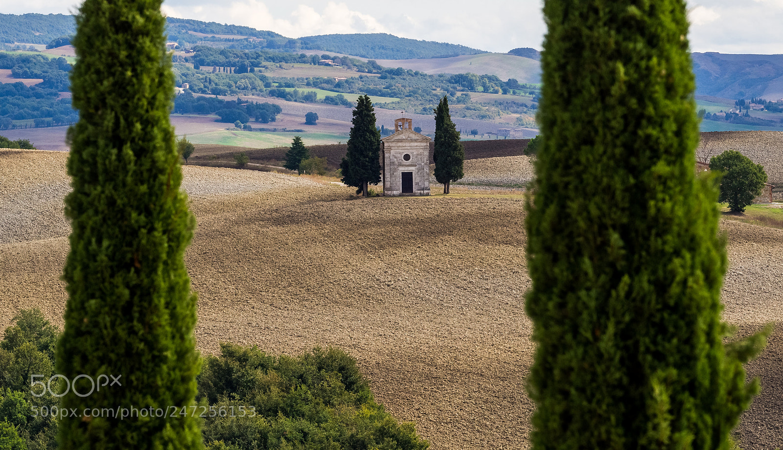 Olympus OM-D E-M10 sample photo. Memories from toscana photography
