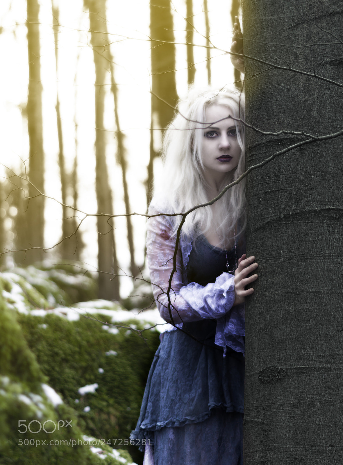 Pentax K-3 II sample photo. Eyes in the woods photography