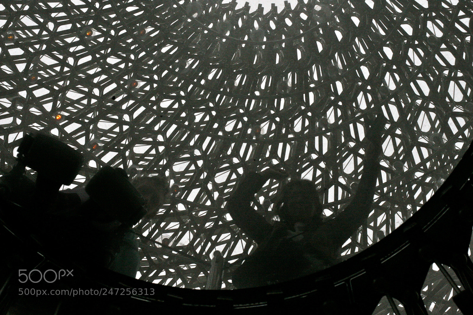 Canon EOS 30D sample photo. Inside 'the hive' photography
