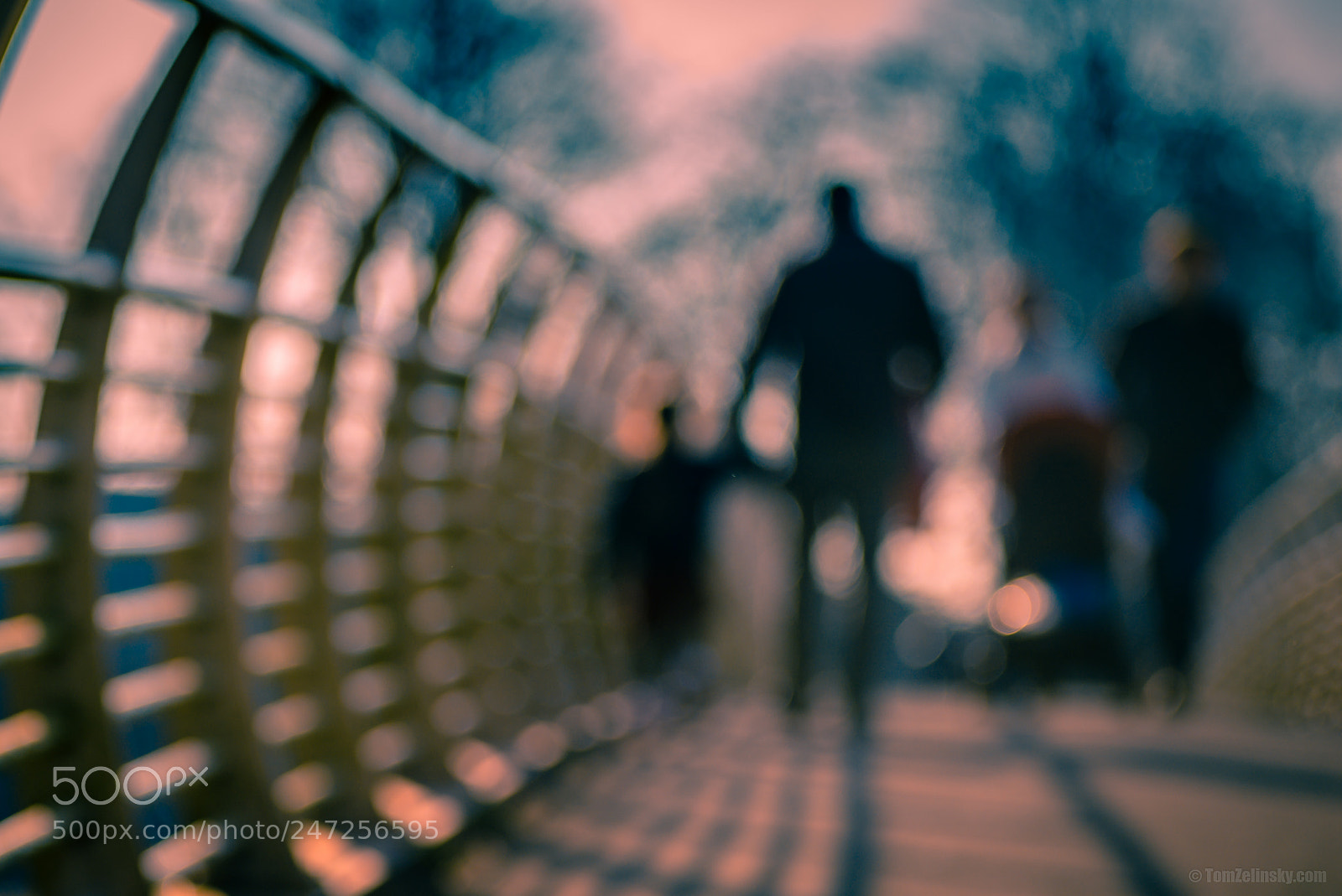 Nikon D610 sample photo. Walk photography