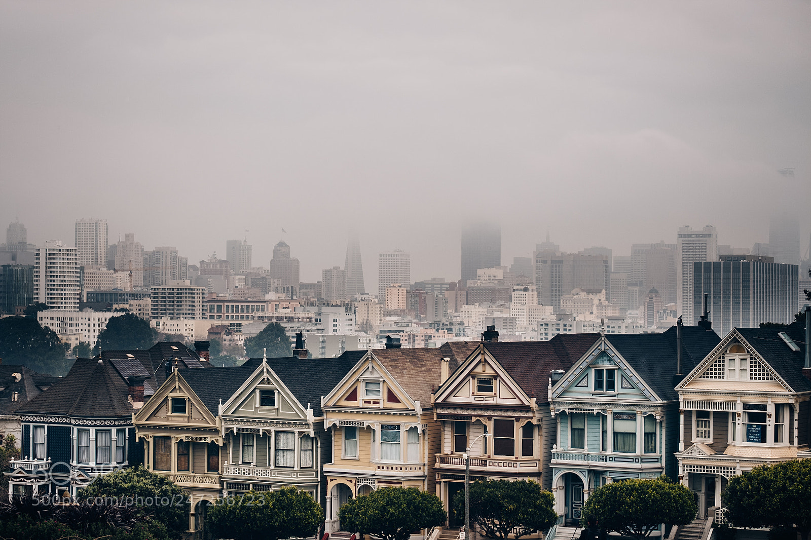 Fujifilm X-Pro2 sample photo. Painted ladies photography