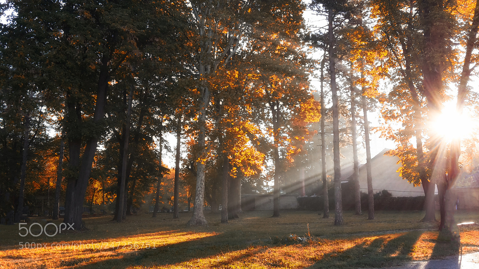 Samsung Galaxy S5 Mini sample photo. Morning rays photography