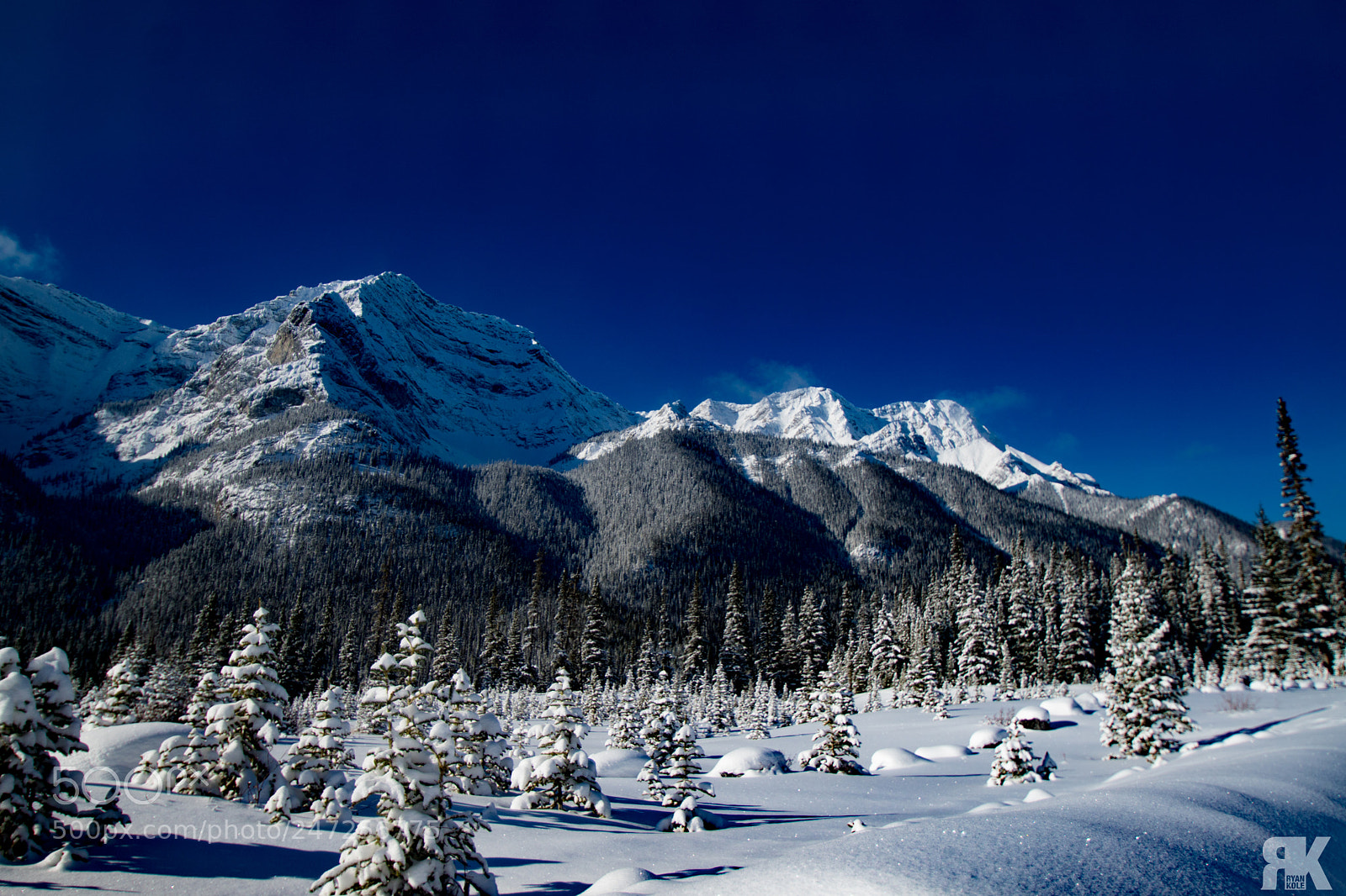 Sony ILCA-77M2 sample photo. Fresh snowfall in k photography