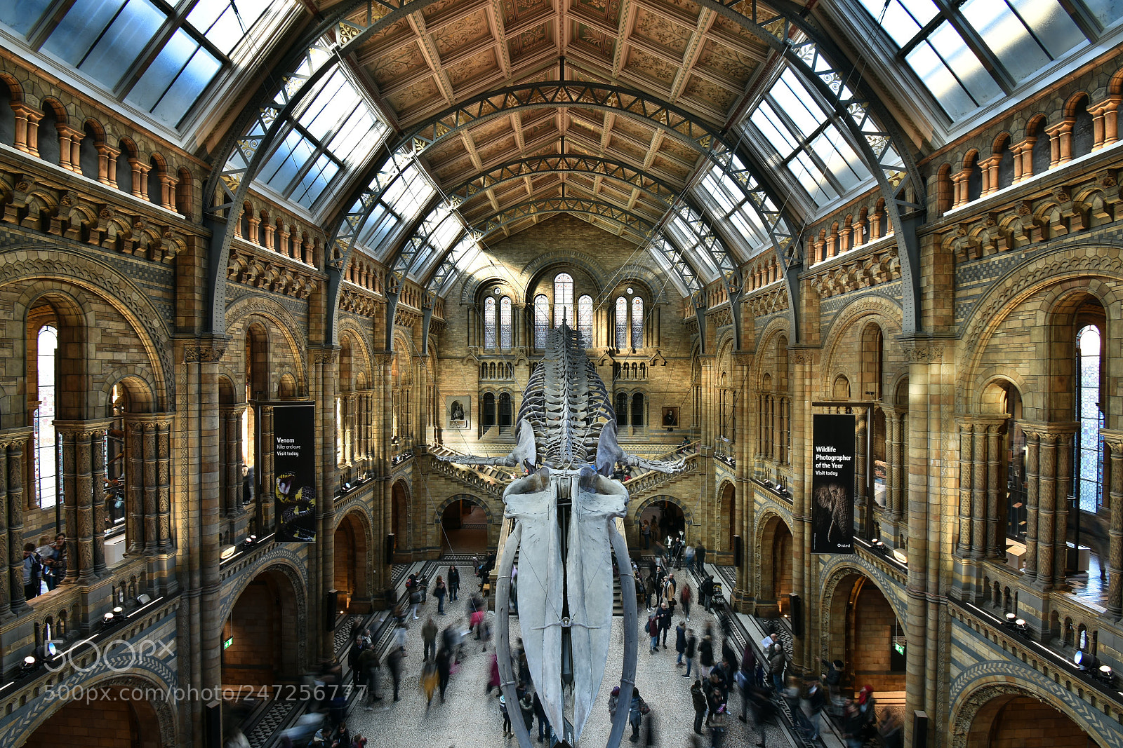 Nikon D7200 sample photo. Natural history museum photography