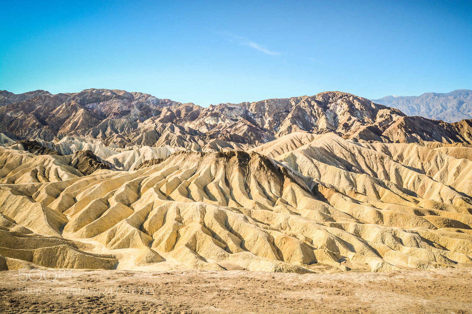 Nikon D7100 sample photo. Zebreiski point photography