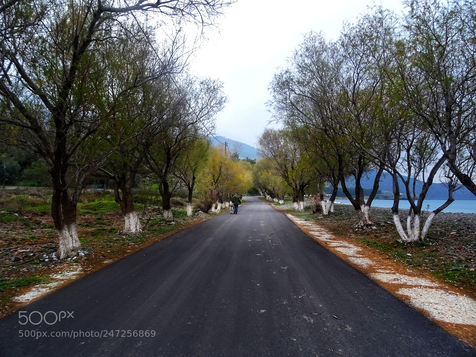 Sony DSC-HX60 sample photo. The road near the photography