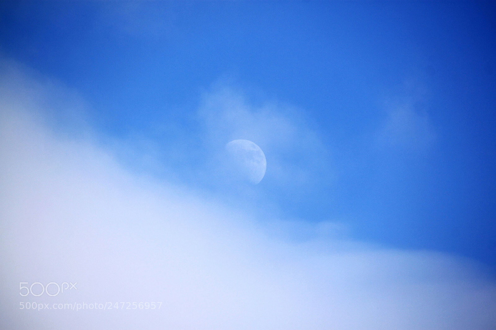 Canon EOS 500D (EOS Rebel T1i / EOS Kiss X3) sample photo. Moon photography