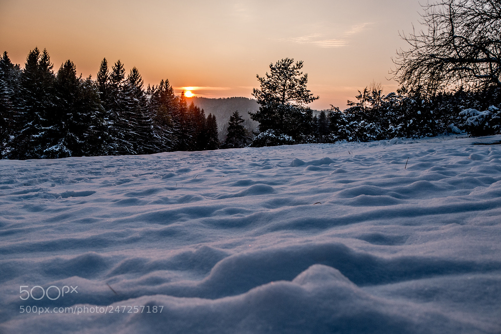 Panasonic DMC-G70 sample photo. Winter sundown photography